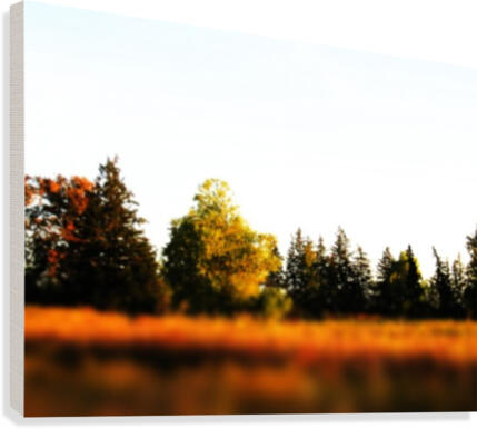 Red Sky Canvas Print
