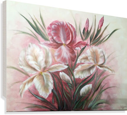 Irises  Canvas Print