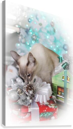 Presents Canvas Print