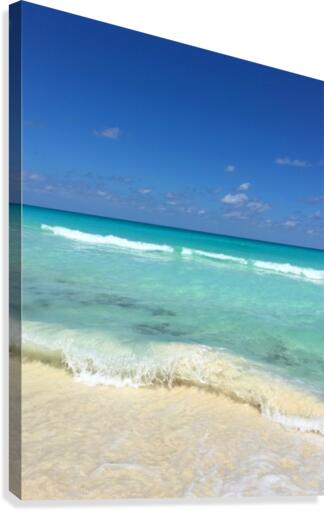 Blue Ocean Canvas Print