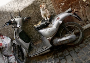 B74EA6CE AE05 4055 955E D665D2897B81