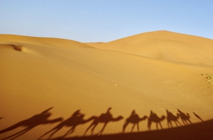 E11F784B FD01 4781 ADBF 681A35D75130