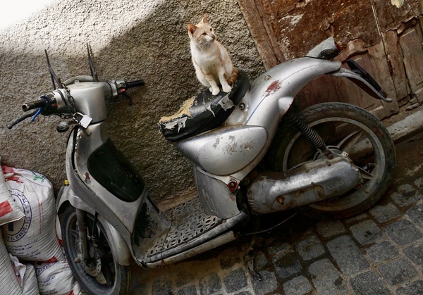 B74EA6CE AE05 4055 955E D665D2897B81 Print