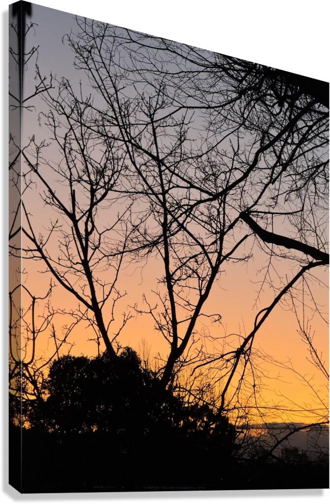 An Autumn Sunrise by JazzArt Wall Art