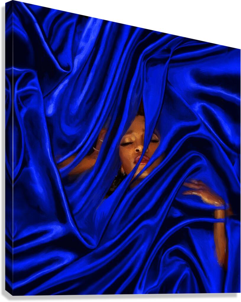 Silken:GCPS Canvas Print
