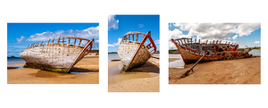 B ad Eddie Triptych