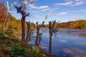 Autumn On The James River 7