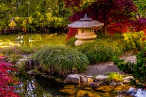 Oriental Garden.