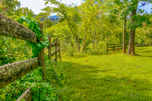 The Fence