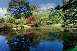 Japanese Gardens