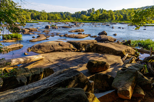 Pony Pasture 2