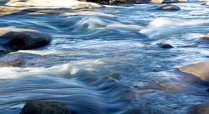 Spring Pony Pasture Rapids 5