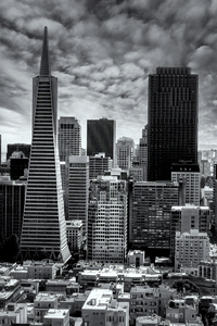 San Francisco Cityscape