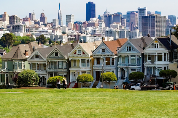 Painted Ladies by Eric Franks