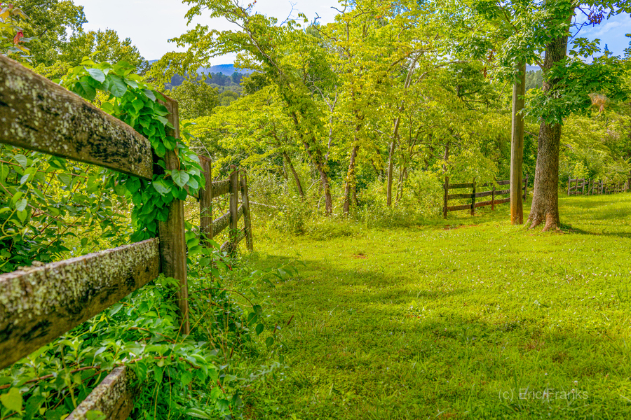 The Fence