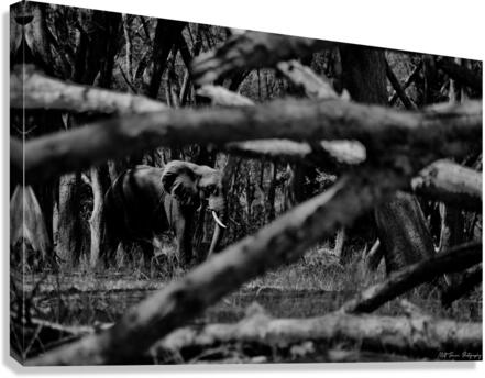 Elephant Abstract Canvas Print