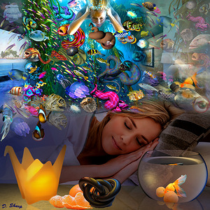 Dream