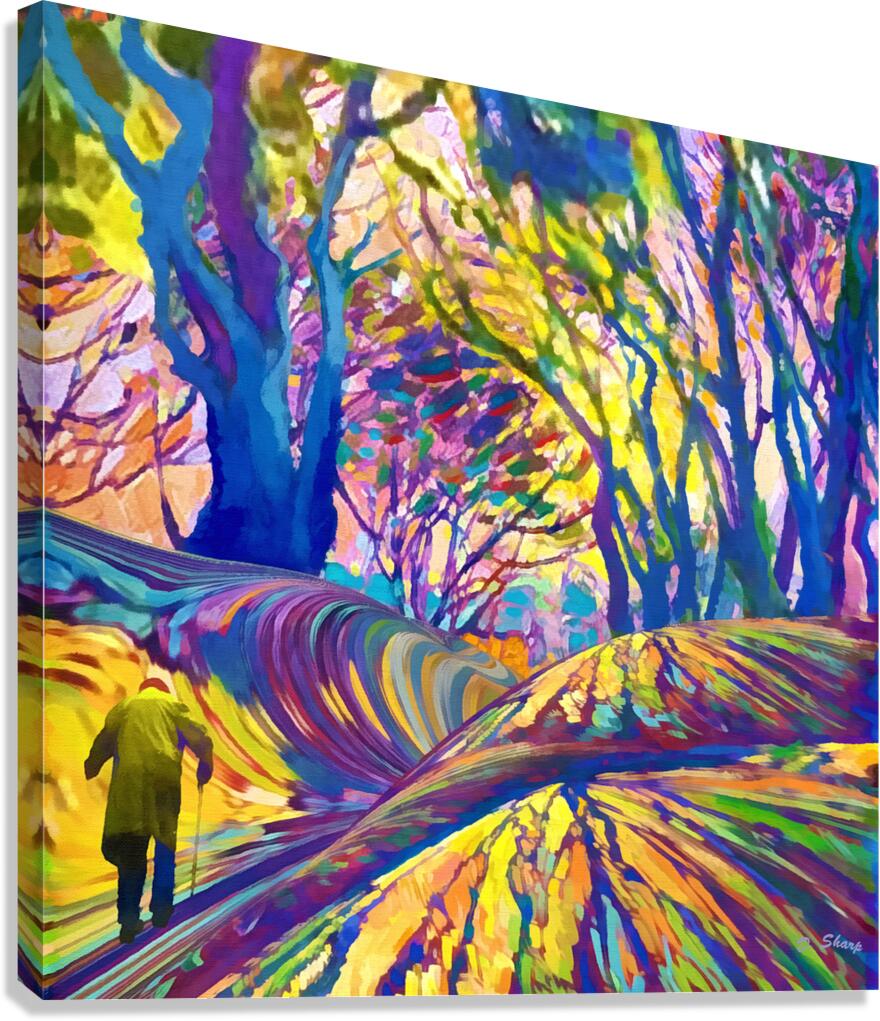 Sunset Walk Canvas Print