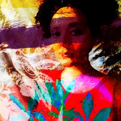 Dreams 1