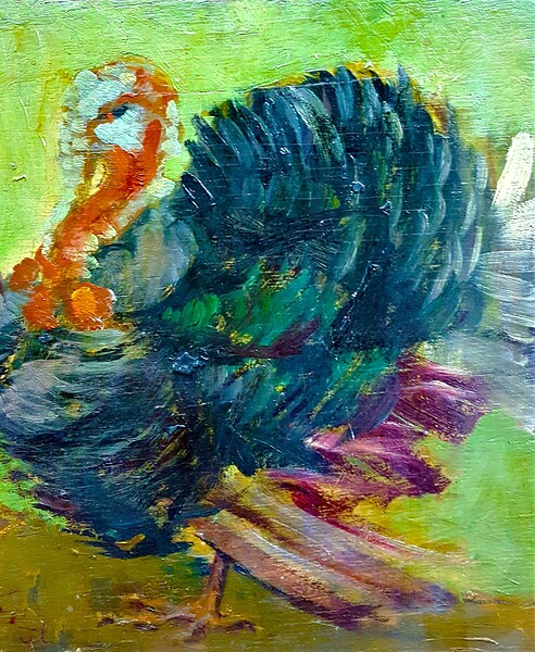 Turkish rooster. Print