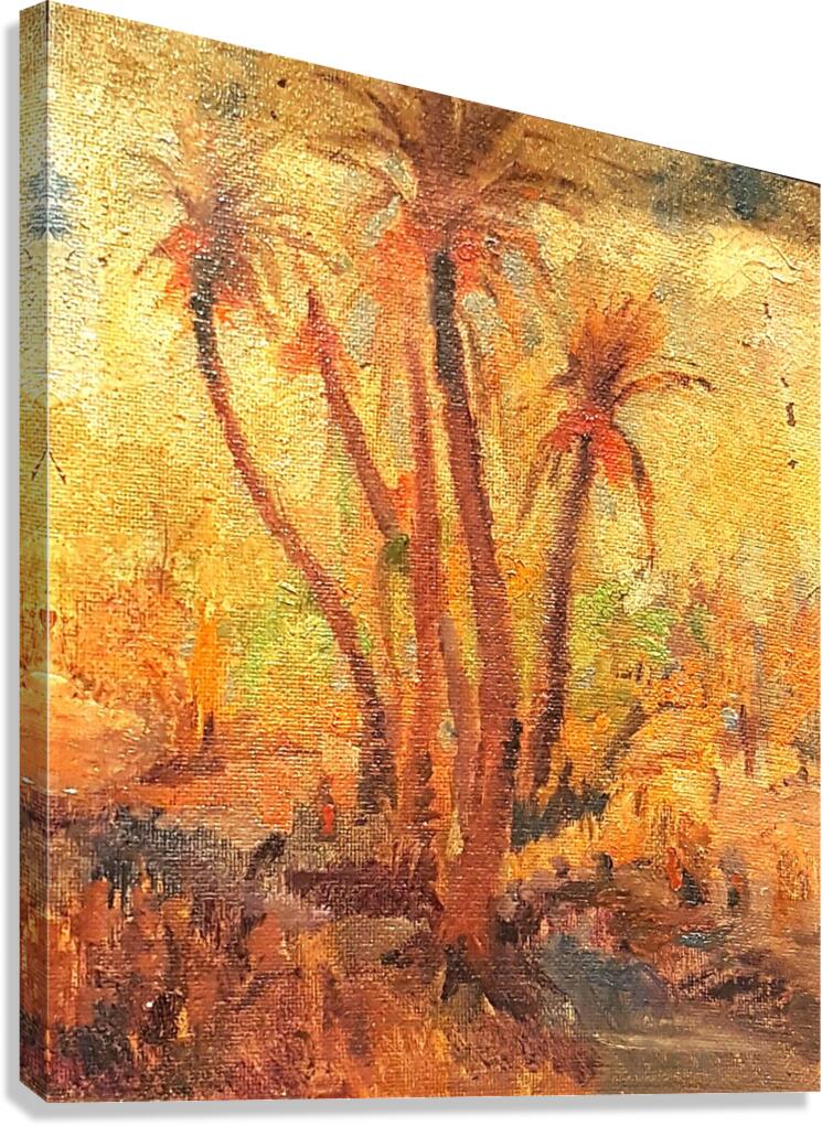 Palm trees.. Canvas Print