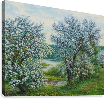 Belakvet Canvas Print