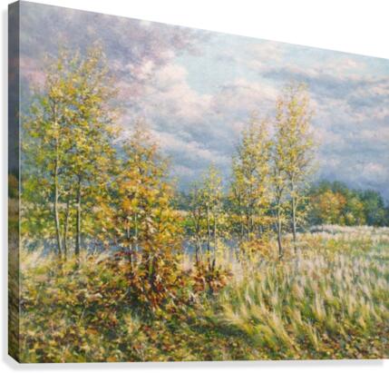 Autumn comes Canvas Print