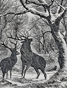 winter deers cart