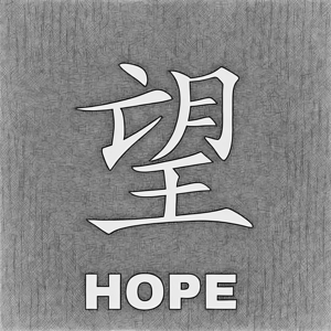 chinese hope charcoal 2408250