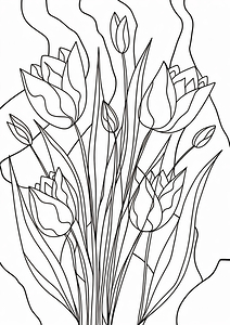 flower sketch 2408228
