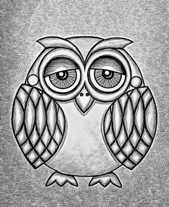owl pencil charcoal 2408221