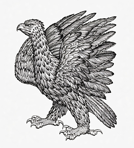 ArtX 29 eagle