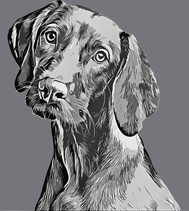 ArtX 04 dog