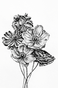 ArtX 43 flowers