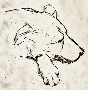 ArtX 549 dog Petre