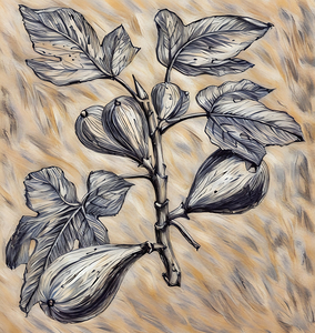 ArtXcl 333 common fig pencil sketch