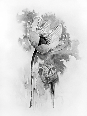 ArtX 15 flowers