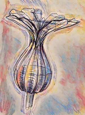 ArtXcl 406 flower-opening-petre