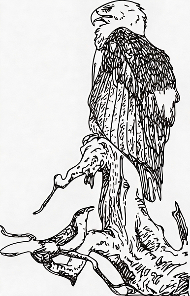 eagle