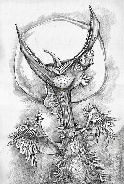 ArtX 41 crazy bird  Print