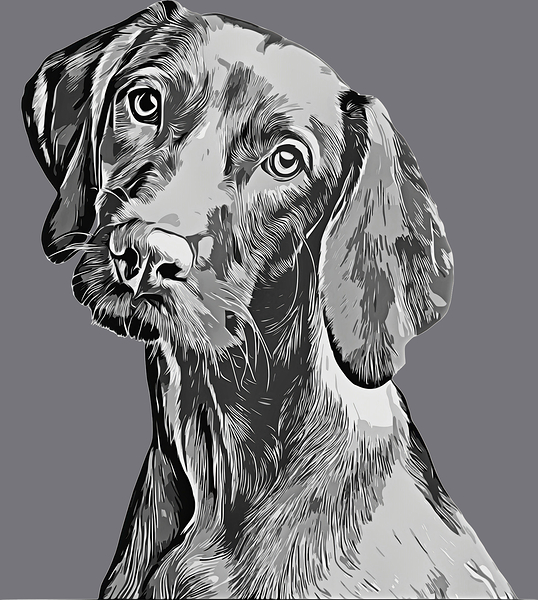 ArtX 04 dog