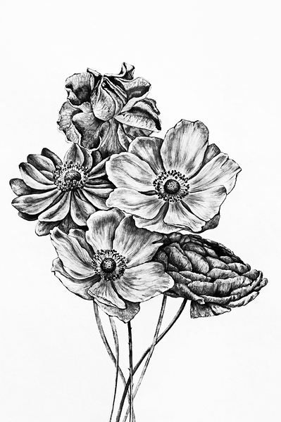 ArtX 43 flowers