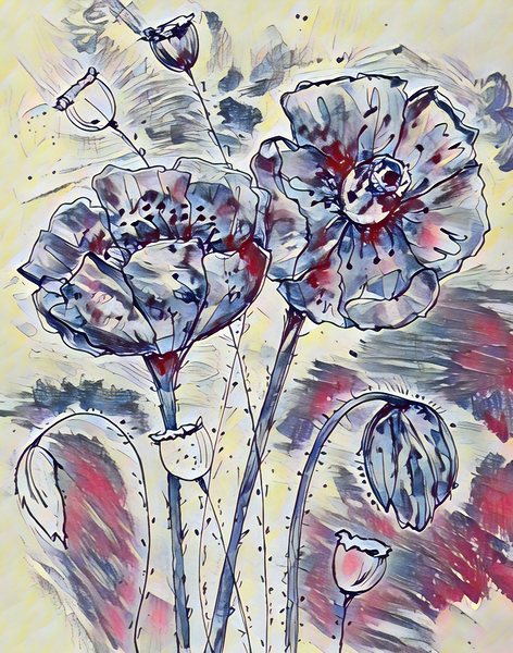 ArtXcl 338 poppies real pencil sketch Print