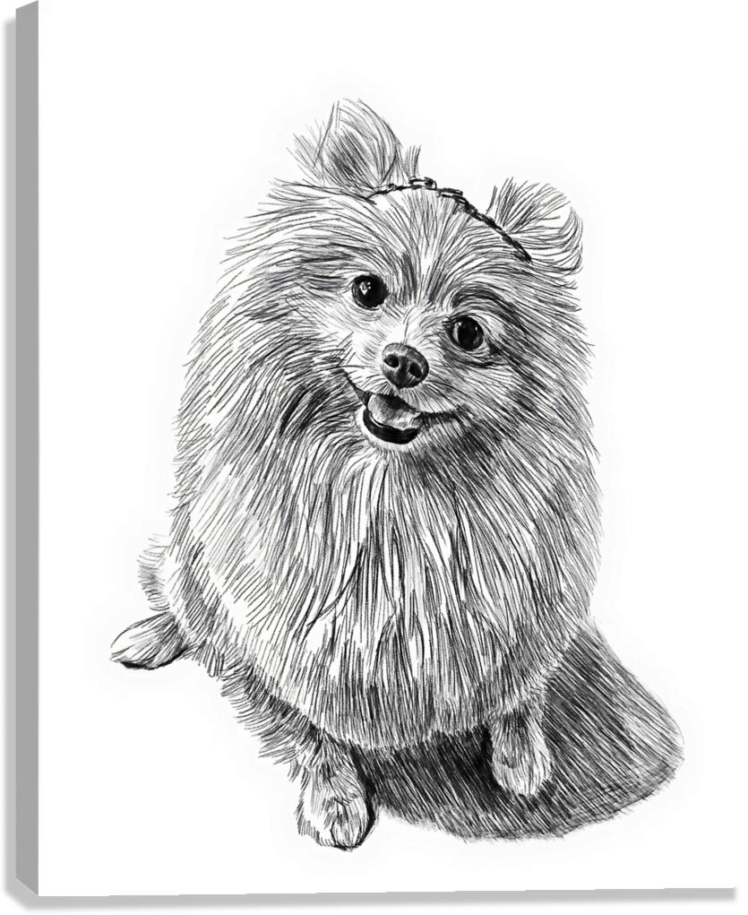 dog pencil 2408203  Canvas Print