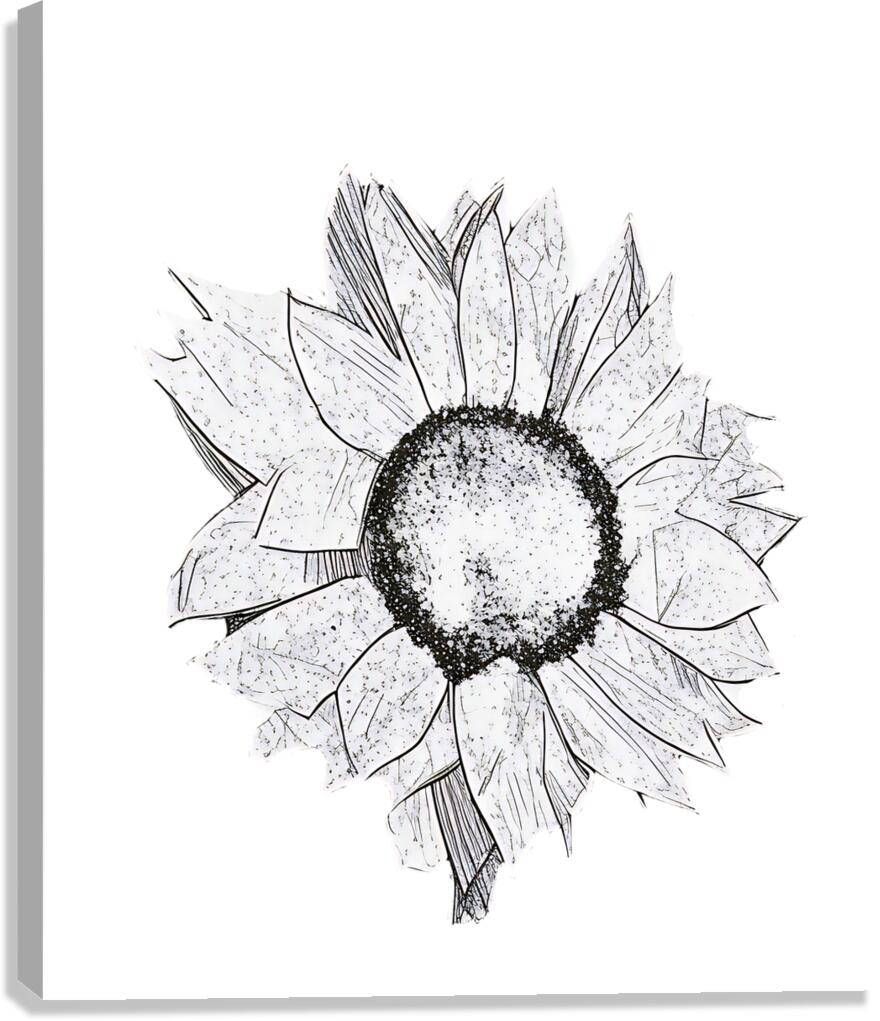 sunflower drawing 2408206  Canvas Print
