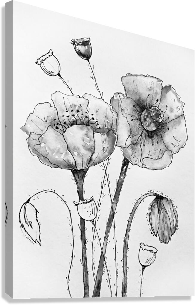 ArtX 17 poppies real  Canvas Print