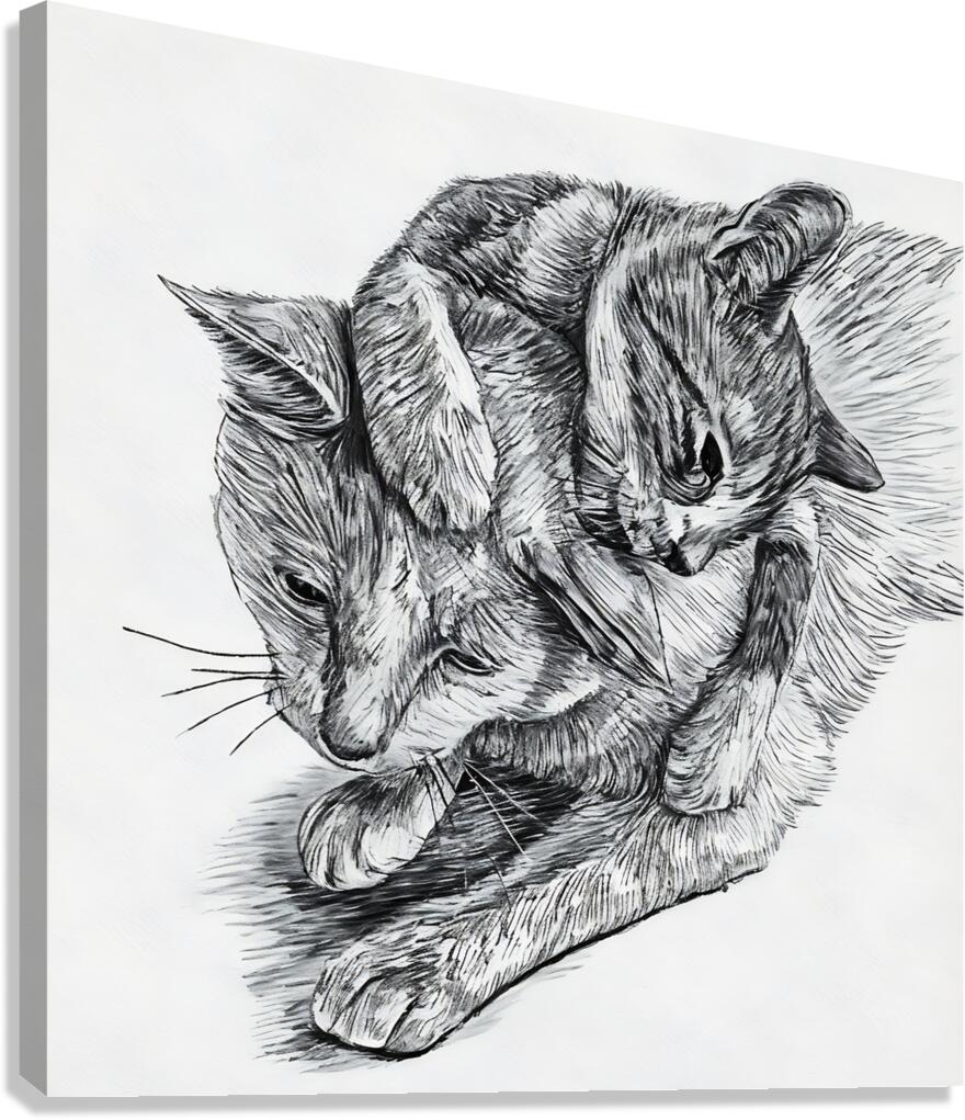 ArtX 07 two cats  Canvas Print