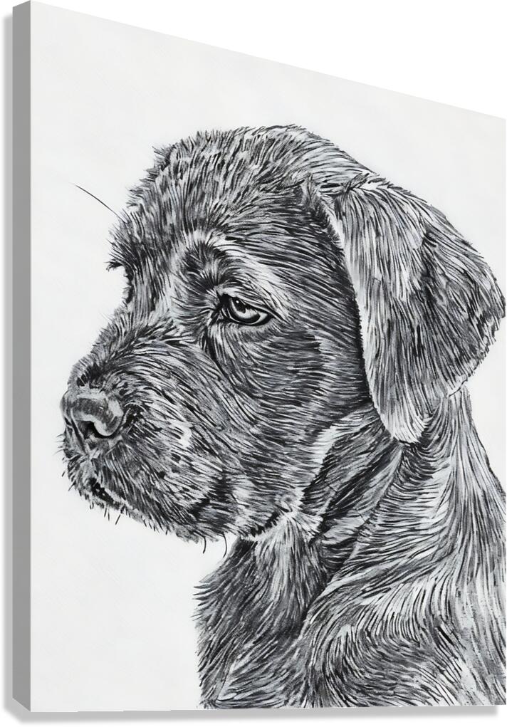 dog 11  Canvas Print