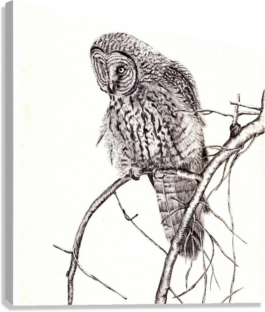108 owl  Canvas Print