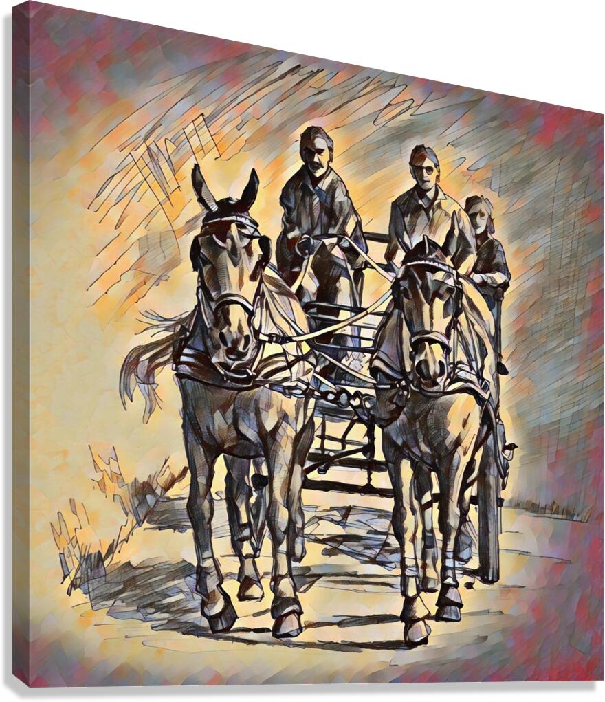 ArtXcl 310 horses carriage drawing Canvas Print